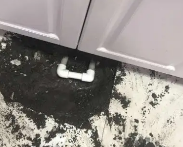 双台子查漏水哪家好